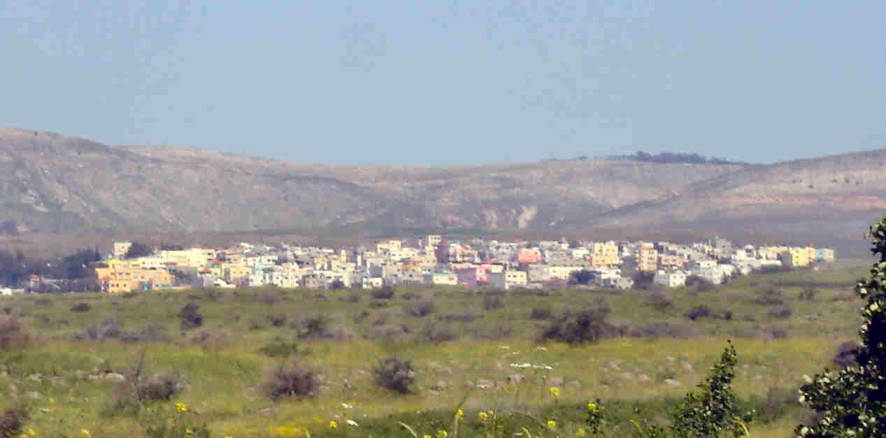 zvx